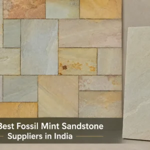 Top 5 Best Fossil Mint Sandstone Suppliers in India